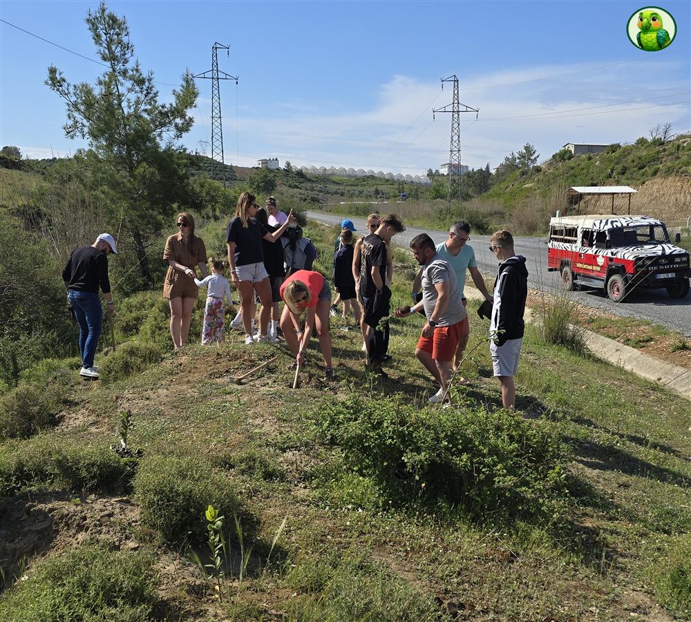 Reisegruppe pflanzt gemeinsam Bäume am Straßenrand nahe Side, im Hintergrund das Ausflugsfahrzeug von Happy Outdoor