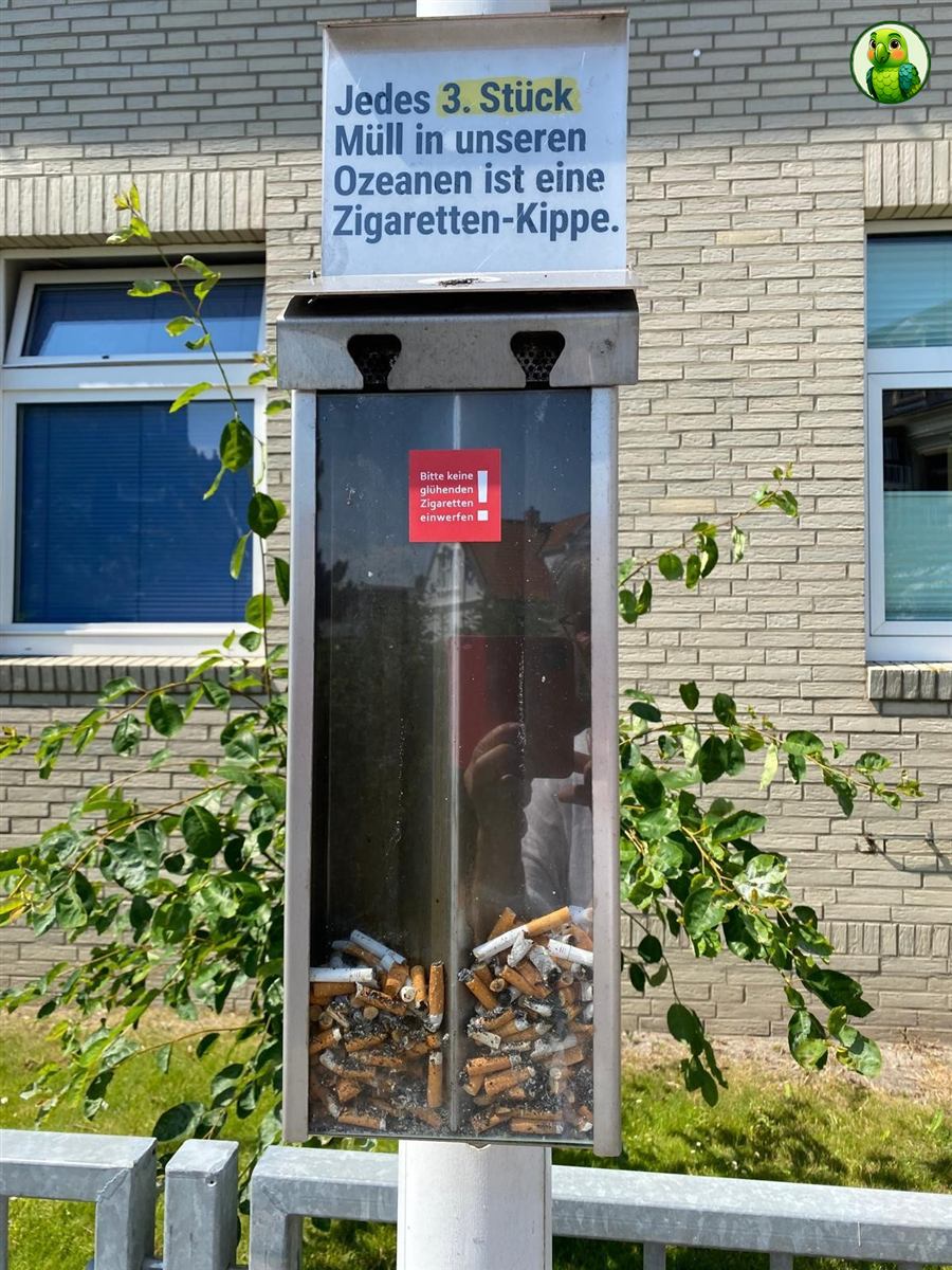 Öffentlicher Kippen-Sammelbehälter mit Hinweis: Jedes 3. Stück Müll in unseren Ozeanen ist eine Zigarettenkippe